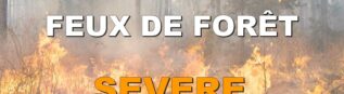 Fin de la canicule et évolution du risque feux de forêt